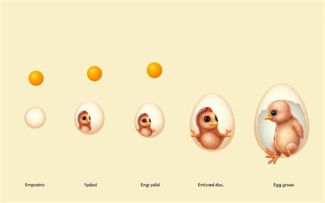 diagram vgnezditve zarodka