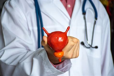 Diagram povečane prostate, ki pritiska na sečnico