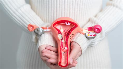 Ilustracija maternice med krčenjem