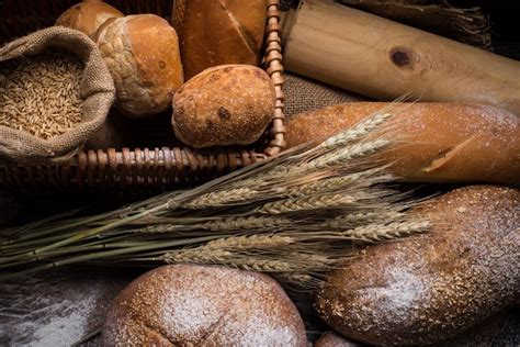 Prikaz žit, ki vsebujejo gluten