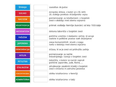 Diagram prikazujoč deljeno posteljico z žilami med obema deloma