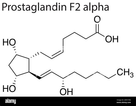 Diagram prikazuje hormona oksitocin in prostaglandine ter njun vpliv na maternico