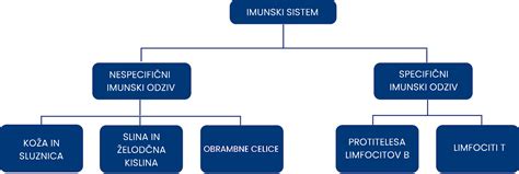 Grafični prikaz, ki ponazarja, kako deluje imunski sistem pri zaznavanju in odzivanju na okužbo