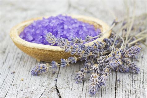 Sivkina polja v Provansi