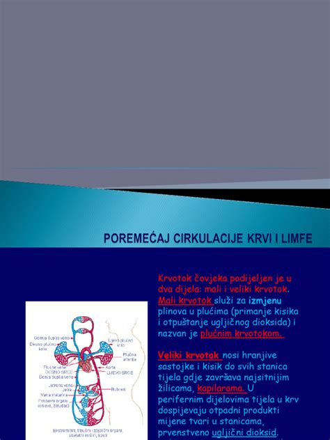 Ilustracija cirkulacije krvi v nogah
