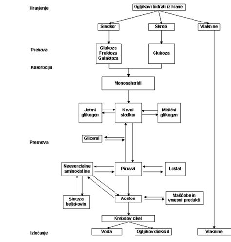 Diagram: Vpliv različnih vrst ogljikovih hidratov na krvni sladkor
