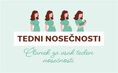 Časovnica nosečnosti z označenimi tedni