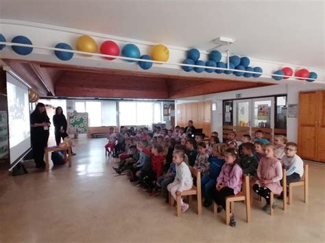 Diagram zobne preventive