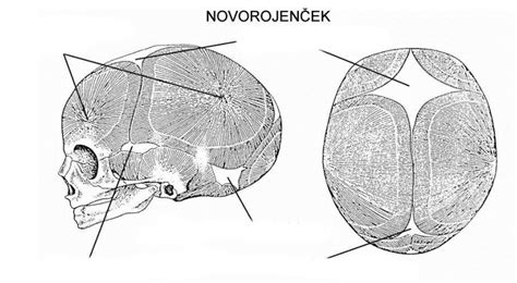 Diagram prikazuje položaj velike in male mečave na dojenčkovi glavi.