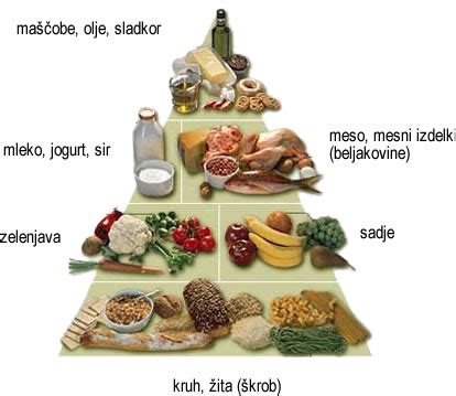 Grafični prikaz prehranske piramide za nosečnice