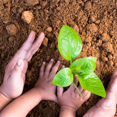 otroci raziskujejo naravo