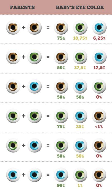 Diagram, ki prikazuje verjetnosti dedovanja barve oči