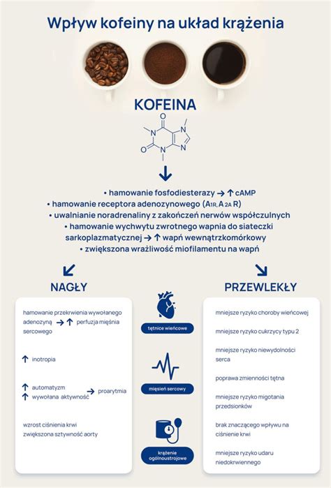Infografika primerja vsebnost kofeina v različnih napitkih.