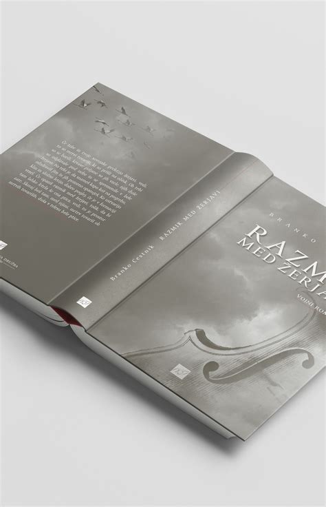 Infografika, ki prikazuje priporočeni časovni razmik med nosečnostmi