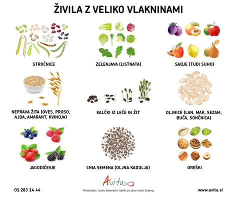 Infografika, ki prikazuje živila bogata z vlakninami