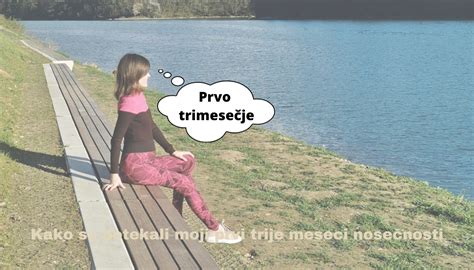 Diagram razvoja zarodka skozi prvo trimesečje