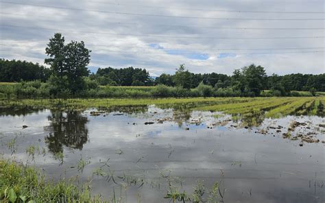 Simbolična slika para, ki se pripravlja na otroka