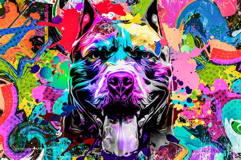 Ilustracija anatomije psa z označenimi reproduktivnimi organi