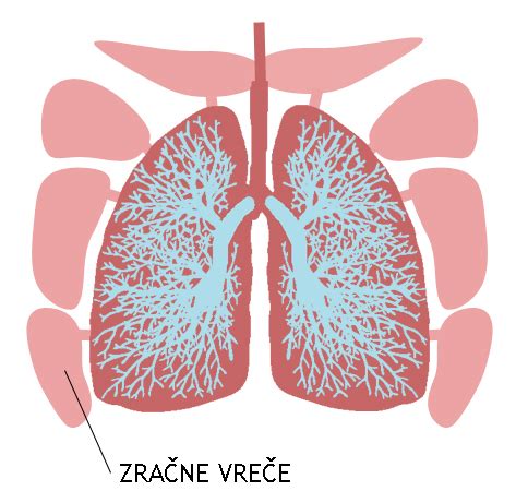 otroška pljuča s sluzjo