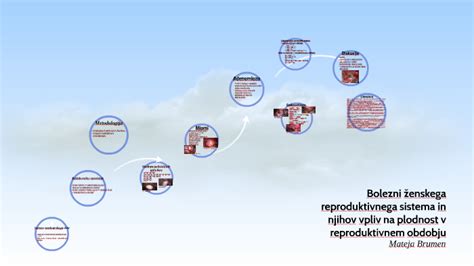 Diagram ženskega reproduktivnega sistema z označeno maternično cevko in materničnim vratom