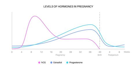 Grafikon ravni hormonov hCG in progesterona v zgodnji nosečnosti