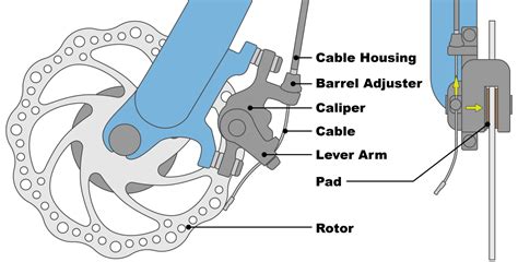 diagram poporodnih izločkov
