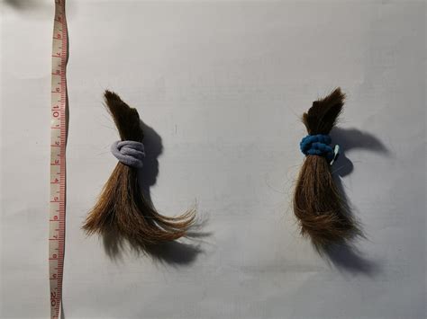 Ženska s skrbi gleda v šop las, ki ji izpada.