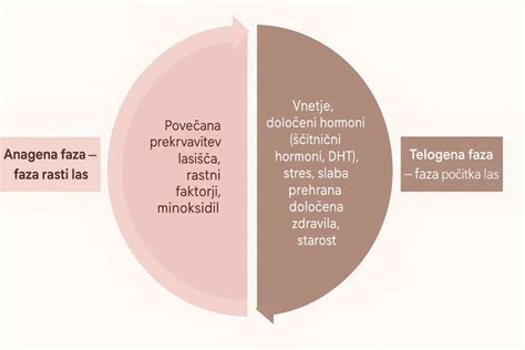 Infografika prikazuje cikel rasti las: anageno, katageno in telogeno fazo.