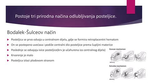diagram posteljice, ki se ločuje od maternične stene