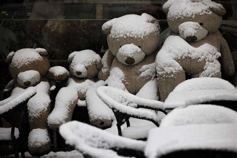 ilustracija sluznega čepa