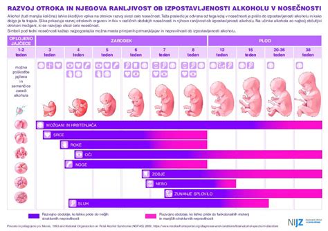Diagram hormonskih sprememb med nosečnostjo in po porodu