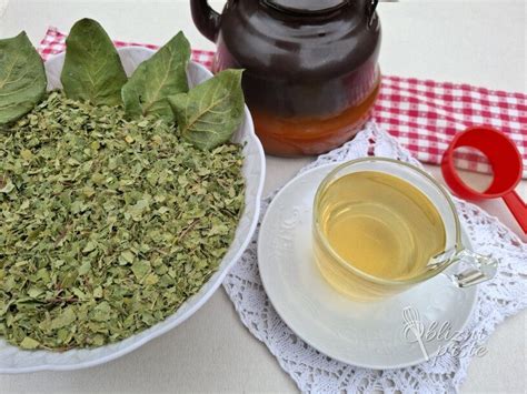 Priprava čaja iz posušenih listov maline