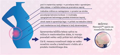 Infografika, ki prikazuje vpliv nosečnosti na mehur