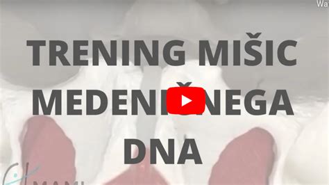 Diagram človeške medenice s poudarjenimi mišicami medeničnega dna