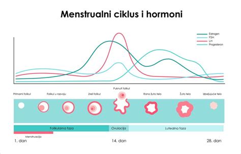 Grafikon ravni hormonov v nosečnosti