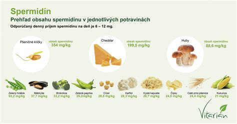 Infografika o priporočeni hrani v nosečnosti