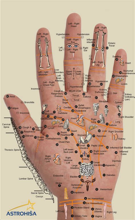 Ilustracija akupresurnih točk na roki