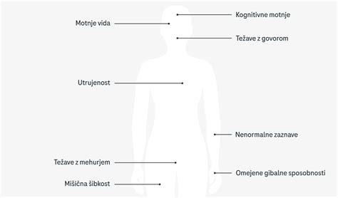 Infografika, ki prikazuje različne lokacije miomov v maternični steni in njihove možne simptome