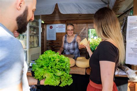 Različni siri, z izpostavljenimi pasteriziranimi.
