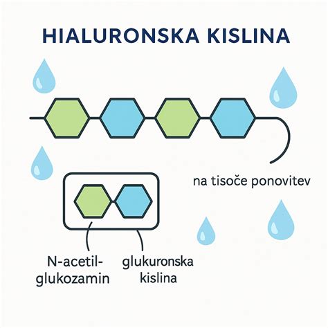 Struktura molekule hialuronske kisline