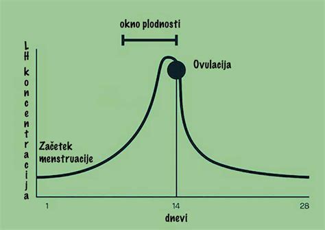 Diagram, ki prikazuje časovno okno plodnosti v menstrualnem ciklu, z označenimi dnevi pred ovulacijo, dnevom ovulacije in dnevi po ovulaciji.
