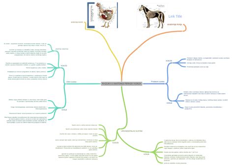 Diagram faz poroda konja