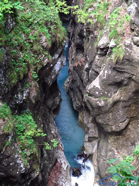 Slika sluznega čepa