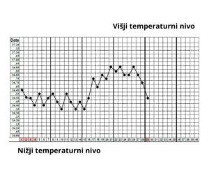 Graf bazalne telesne temperature, ki prikazuje padec pred ovulacijo in dvig po njej.