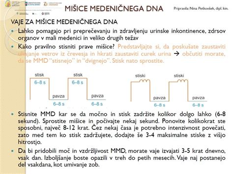 Ilustracija medeničnega dna