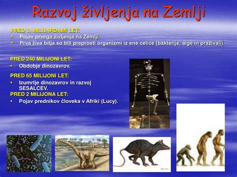 Zgodovinski razvoj občin na Kranjskem