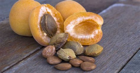 Grafični prikaz živilih, ki jih nosečnice naj uživajo in katerim se naj izogibajo