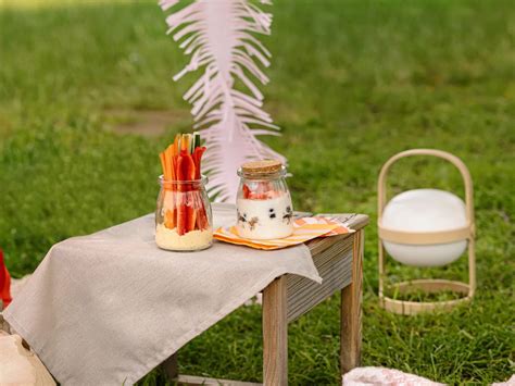 Diagram, ki prikazuje različne organe, ki jih je mogoče pregledati z ultrazvokom