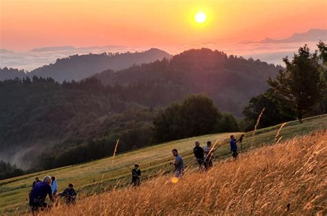 Čebelnjak v sončnem vzhodu