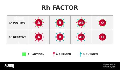Diagram Rh faktorja